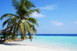 Malediwy – raj dla nurków i miłośników podwodnego świata