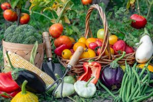 Jak dobrze wykorzystać sezonowe warzywa w kuchni – przepisy i porady